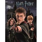 Tableaux design noirs Harry Potter Hermione Granger 