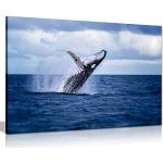 Tableaux sur toile bleu marine à motif baleines 