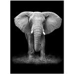 Posters blancs à motif éléphants modernes 