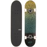 "Inpeddo Feather 8" Board-Complète - light green"