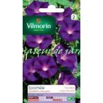 Graines de fleurs Vilmorin violettes 