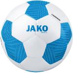 JAKO Striker 2 ballon de training blanc bleu F04 5