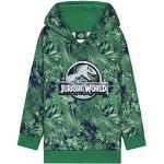 Sweats à capuche verts en polyester Jurassic World Taille 3 ans look fashion pour garçon de la boutique en ligne Amazon.fr 