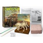 Jeux scientifiques à motif dinosaures de dinosaures 