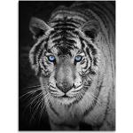 Couvertures Kinzler blanches à effet tigré à motif tigres 150x200 cm 