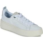 Lacoste Baskets basses CARNABY PLAT Lacoste