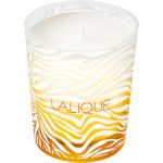 Bougies Lalique mandarine à motif animaux 