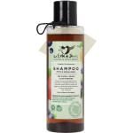 Shampoings 150 ml anti pellicules anti pelliculaire pour cheveux gras 