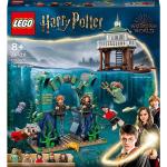 Loisirs créatifs Lego à motif requins Harry Potter Hermione Granger de 7 à 9 ans 