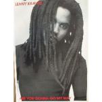 Lenny Kravitz - 60x80 Cm - Affiche / Poster