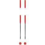 Bâtons de ski rouges 