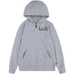 Sweats à capuche Levi's Kid gris clair en daim Taille 14 ans classiques pour garçon de la boutique en ligne Amazon.fr 