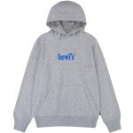 Sweats à capuche Levi's Kid gris clair en daim Taille 10 ans classiques pour garçon de la boutique en ligne Amazon.fr 