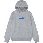 Sweats à capuche Levi's Kid gris clair en daim Taille 8 ans classiques pour garçon de la boutique en ligne Amazon.fr 