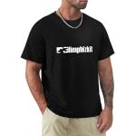 Limp Bizkit Simple Logo Men's T Shirt Black Size XL