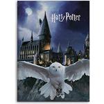 Plaids polaires Harry Potter Hedwige pour enfant 