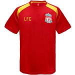 Maillots de Liverpool rouges en polyester Liverpool F.C. Taille XL pour homme 