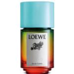 LOEWE Paula's Ibiza 100 ML Eau de toilette Parfums pour Femme