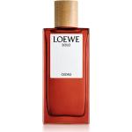 Loewe Solo Cedro Eau de Toilette pour homme 100 ml