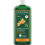 Shampoings Logona bio 250 ml régénérants pour cheveux abîmés 