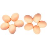 Lot de 10 œufs factices en plastique œufs de nid faux œufs de poule œufs pour aider des poules à pondre œufs artificiels