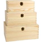 Alsino Lot de 3 boîtes en bois avec couvercle - Boîtes de rangement - Différentes tailles - 269 mm x 113 mm x 174 mm - 329 mm x 159 mm x 234 mm (4-6)