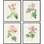 Lot De 4 Imprimé Roses - Art Botanique Rose, Impression Fleurs Roses, Décoration Cuisine, Redoute, La Ferme, D'art Botanique