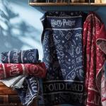 Serviettes de bain bleues Harry Potter Harry pour enfant 