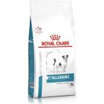 Nourriture Royal Canin Veterinary Diet pour chien petite taille 