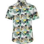 Chemises hawaiennes en coton à motif palmier à manches courtes Taille L look fashion pour homme 
