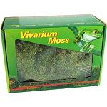 Lucky Reptile Vivarium Moss - 150 g de Mousse pour