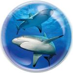 Magnets blancs en cristal à motif requins 