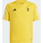 Maillots sport adidas Juventus dorés enfant Juventus de Turin 
