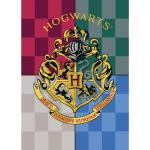 Plaids polaires multicolores en polyester Harry Potter Harry 