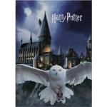 Plaids polaires Harry Potter Harry 