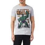 T-shirts gris à manches courtes Hulk à manches courtes Taille XXL look fashion pour homme 