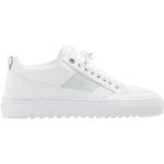 Mason Garments - Shoes > Sneakers - White -