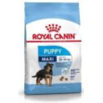 Maxi puppy - Royal Canin pour chiots et jeunes chiens Maxi junior | Conditionnement : 4 kg