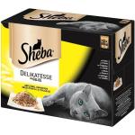 Patés Sheba pour chat adultes 