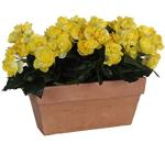 Pots de fleur en terre cuite Mica Decorations jaunes de 25 cm diamètre 25 cm 