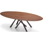 MIDJ table ovale FOREST 280x120 cm (Plateau en noyer flamm, pieds marron - Mtal plaqu et peint)