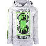 Sweats à capuche gris en coton Minecraft look fashion pour garçon de la boutique en ligne Amazon.fr 