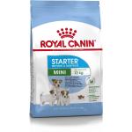 Mini Starter - Royal Canin Starter Mini | Conditionnement : 4 kg