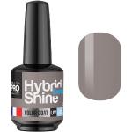 Mini Vernis Semi-Permanent Hybrid Shine Mollon Pro 8ml Soft Grey 2/125