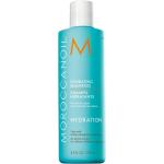 Shampoings Moroccanoil cruelty free 250 ml hydratants pour femme 