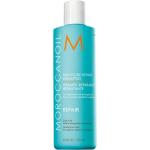 Shampoings Moroccanoil cruelty free 250 ml pour cheveux abîmés pour femme 