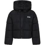 Msgm - Kids > Jackets > Winterjackets - Black -