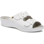 Chaussures Scholl blanches pour femme 