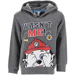 Sweatshirts Nickelodeon gris Pat Patrouille Taille 3 ans look fashion pour garçon de la boutique en ligne Amazon.fr 