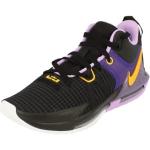 Chaussures de basketball  Nike LeBron 8 lilas en caoutchouc Pointure 44,5 look fashion pour homme 